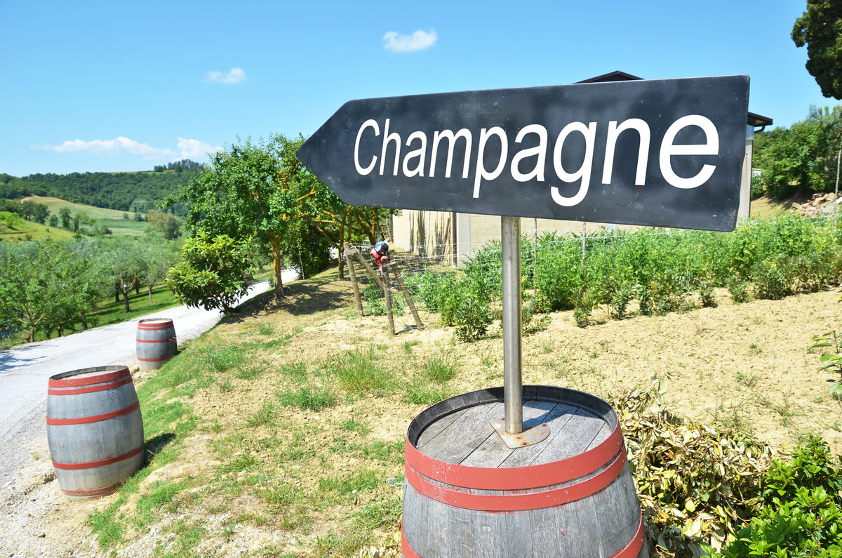 Champagne 101 A Beginner's Guide to Understanding Champagne